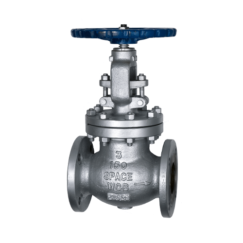 شیر سوزنی فلنج دار a216 WCB